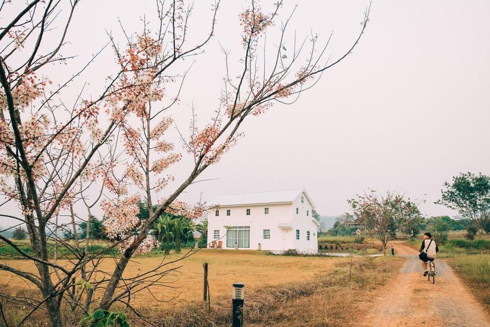 Romance - Another Story In Pai Exterior photo