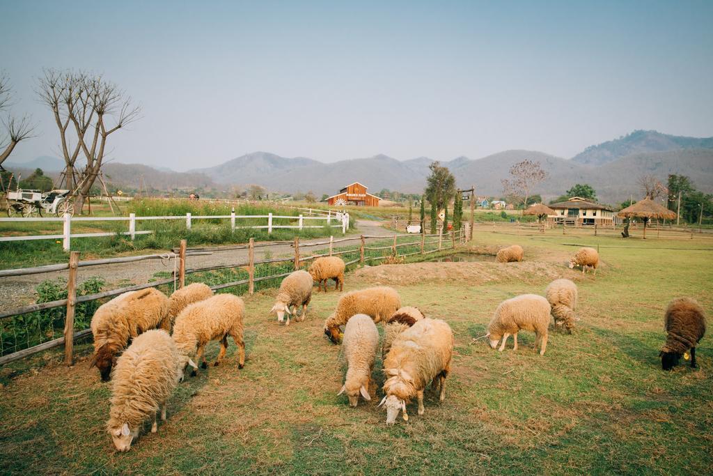 Romance - Another Story In Pai Exterior photo