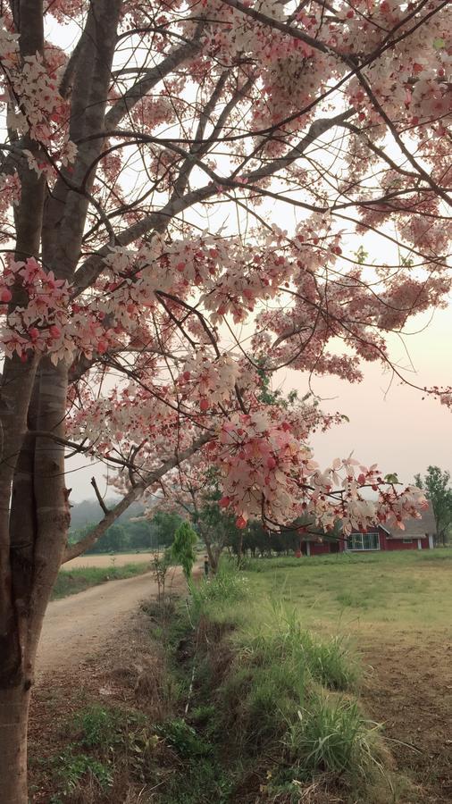 Romance - Another Story In Pai Exterior photo