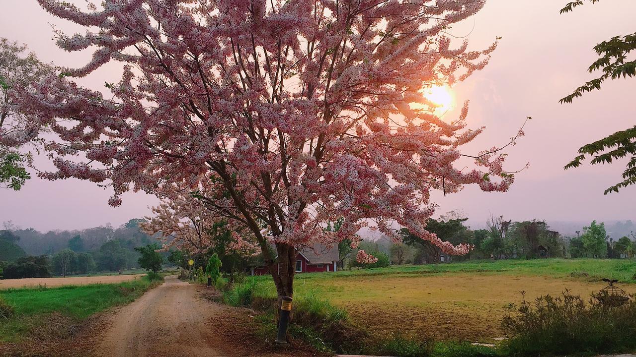 Romance - Another Story In Pai Exterior photo