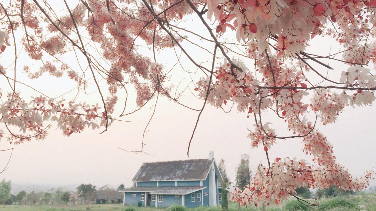 Romance - Another Story In Pai Exterior photo