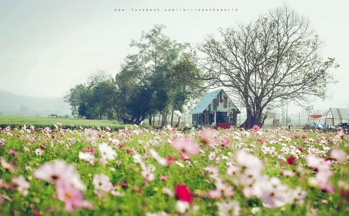 Romance - Another Story In Pai Exterior photo